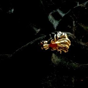 Beautiful, masculine “King of the Jungle” ring.